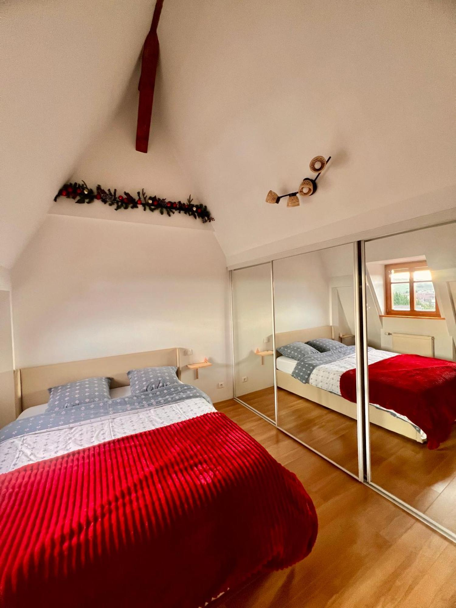 Duplex Au Coeur De Turckheim, 10 Min De Colmar Et Place De Parking Dış mekan fotoğraf