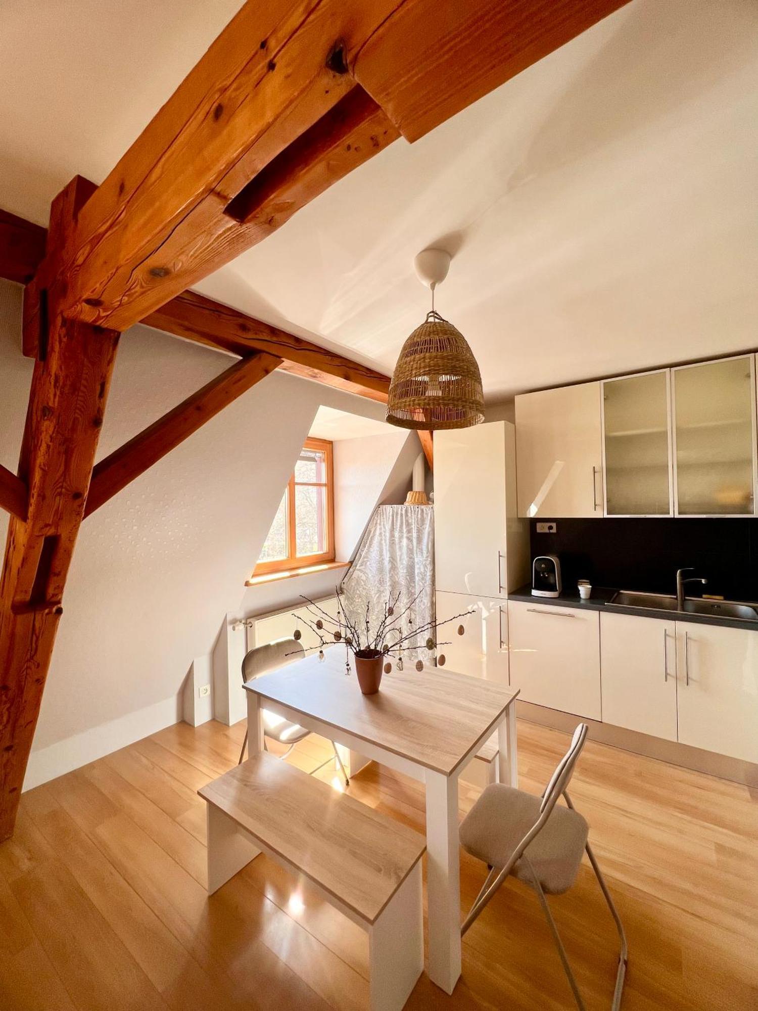 Duplex Au Coeur De Turckheim, 10 Min De Colmar Et Place De Parking Dış mekan fotoğraf